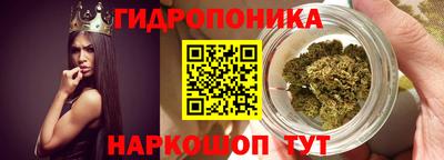 a pvp Дубна