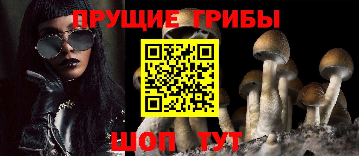 Галлюциногенные грибы MAGIC MUSHROOMS Майкоп